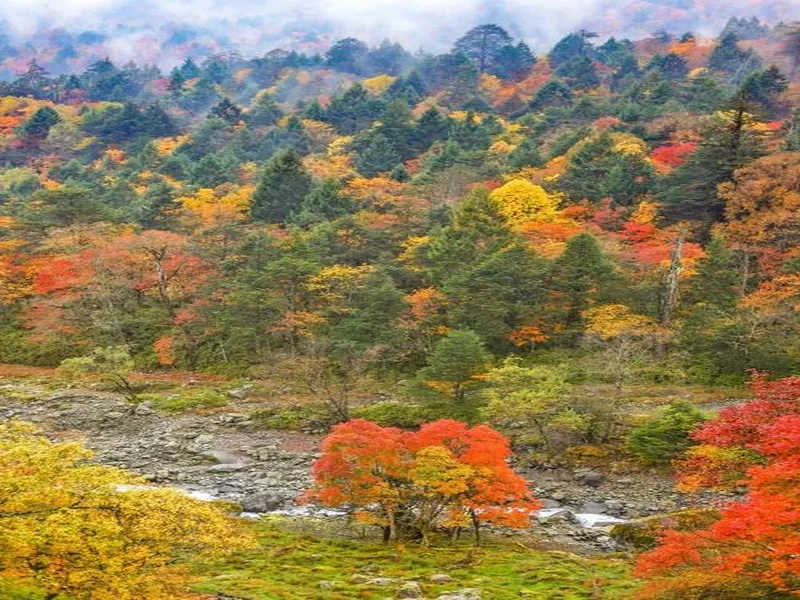 二郎山喇叭河赏秋之旅:立体彩林、野生动物、溪谷红石融为一体
